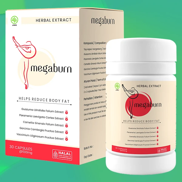 Megaburn