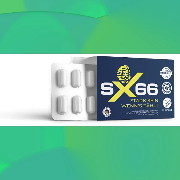 SX 66